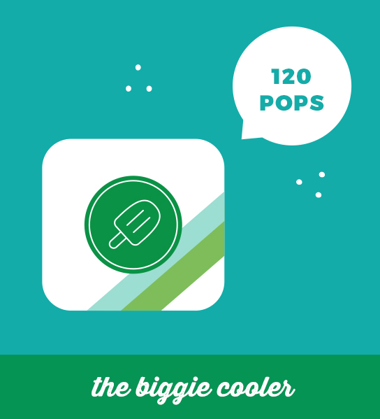 the biggie cooler (no handle) illustration – holds 120 ice pops