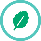 icon 003